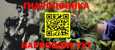 spice Бузулук