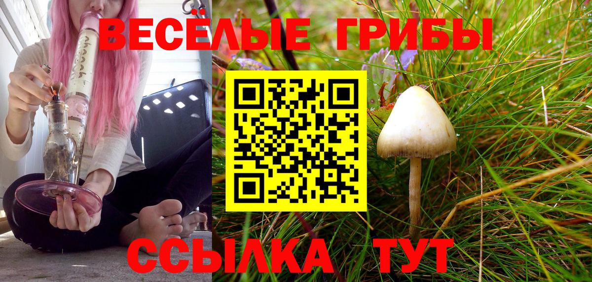 Псилоцибиновые грибы ЛСД Рубцовск